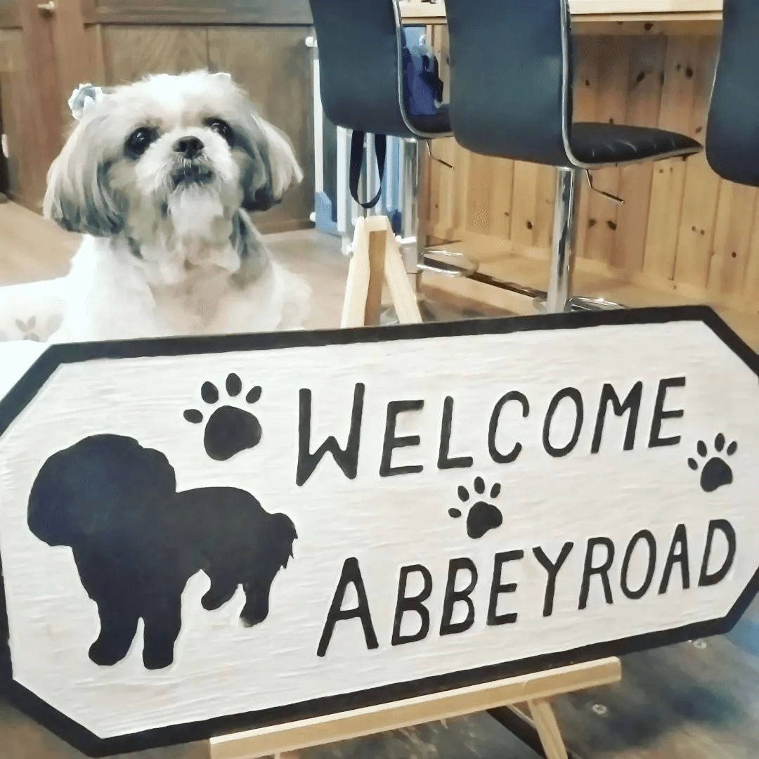 岩手県で雨の日に遊べる室内ドッグラン以外：DOG CAFE ABBEY ROAD